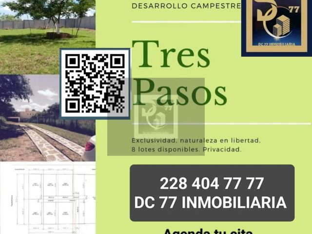 place photo 13