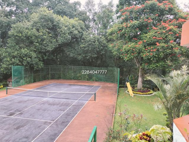 place photo 41