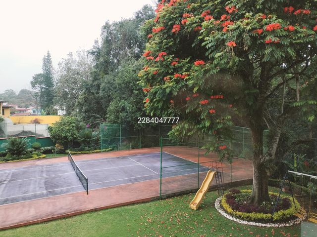 place photo 32