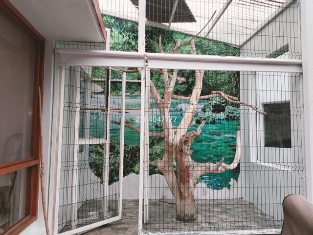 place photo 39