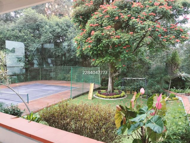place photo 45