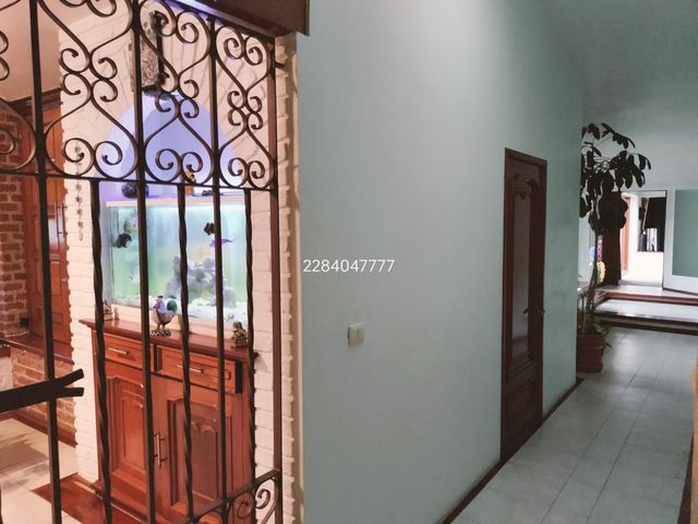 place photo 34