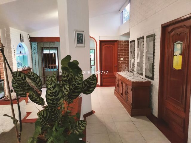 place photo 43