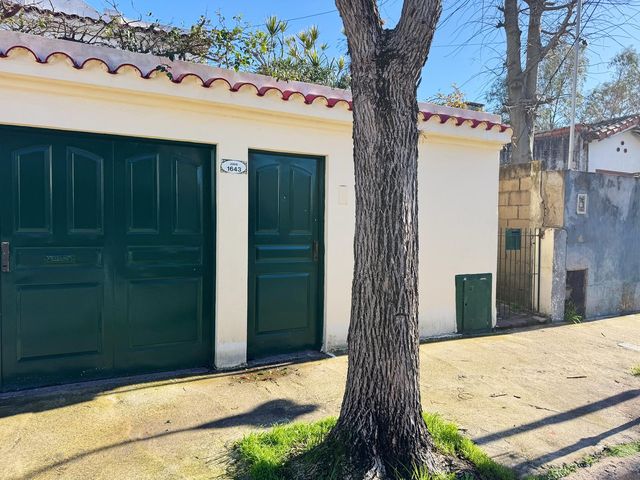 place photo 41