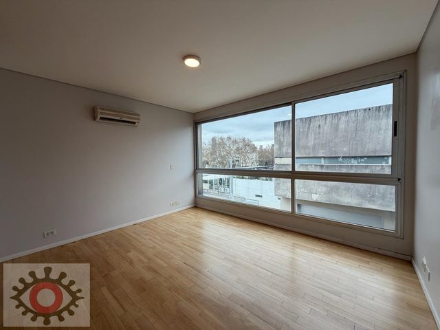 place photo 62