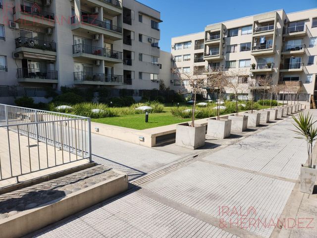 place photo 36