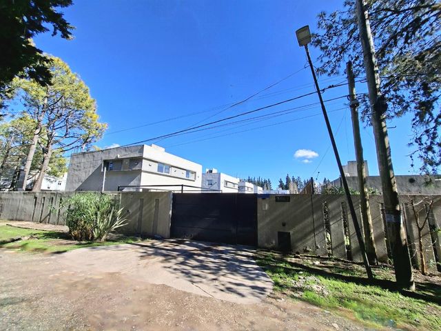 place photo 36