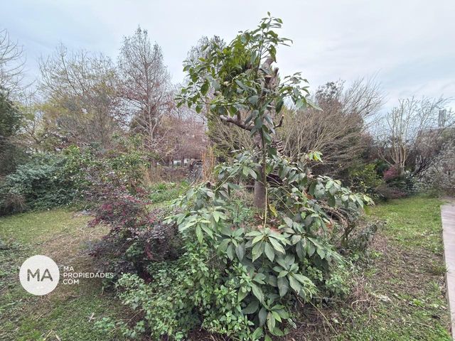 place photo 47