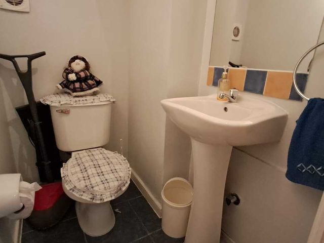 place photo 16