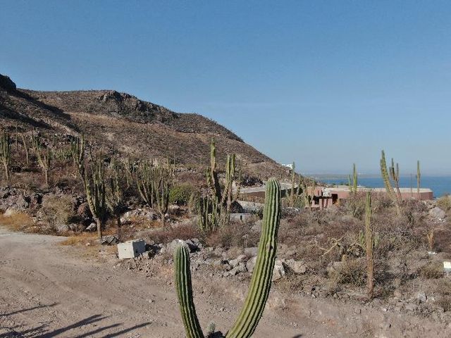 place photo 12