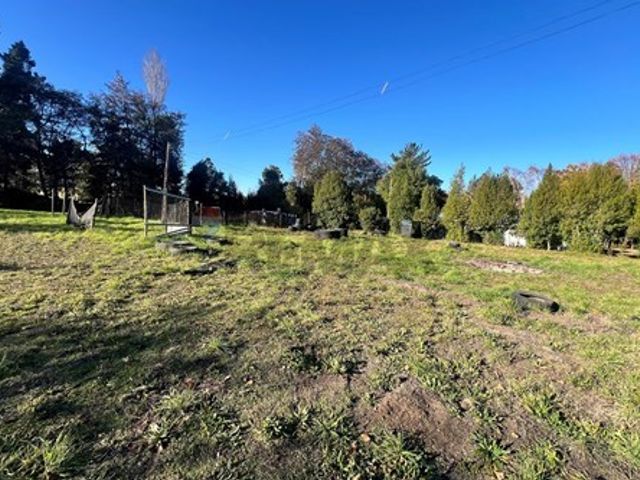 place photo 65