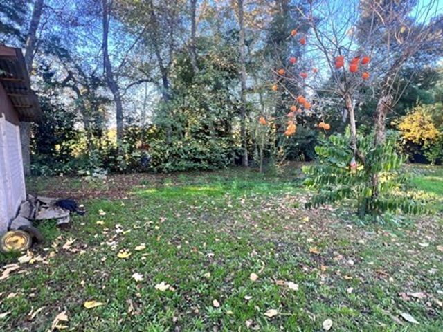 place photo 45