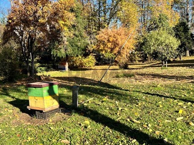 place photo 47