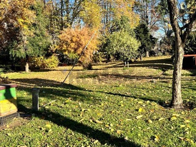 place photo 46