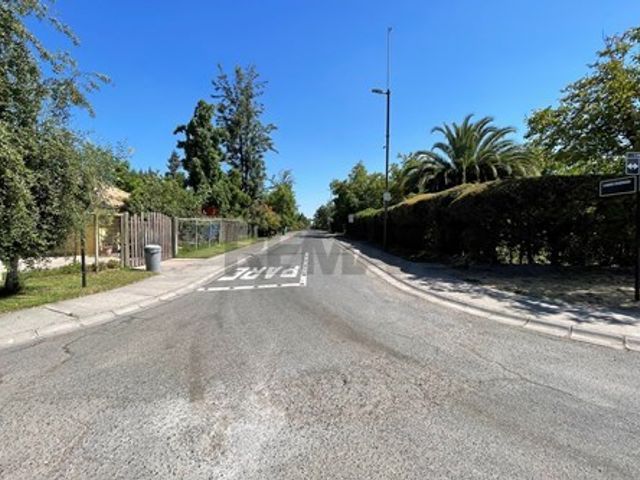 place photo 50