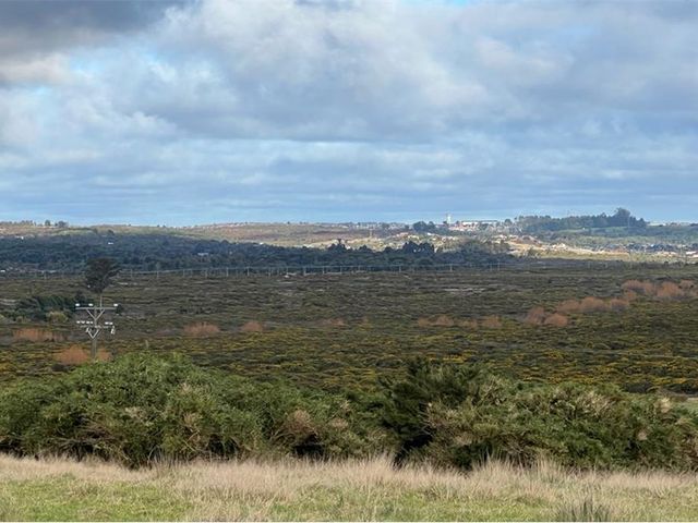 place photo 62