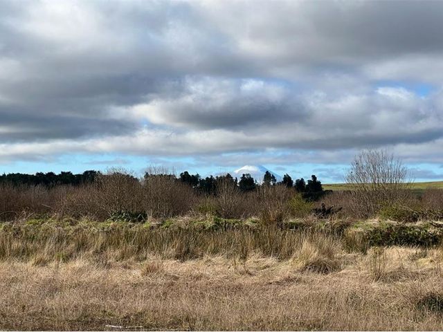 place photo 61
