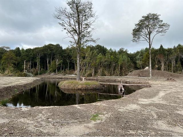 place photo 52
