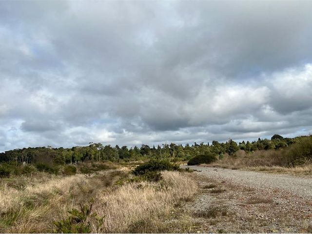 place photo 51
