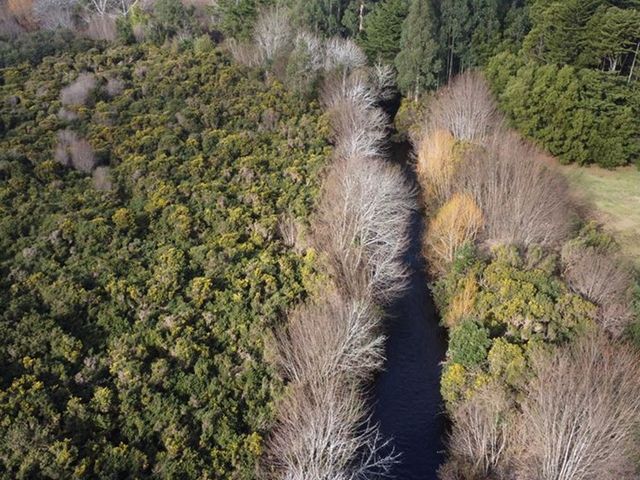 place photo 48