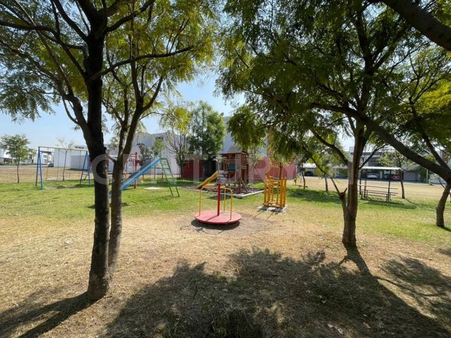 place photo 46
