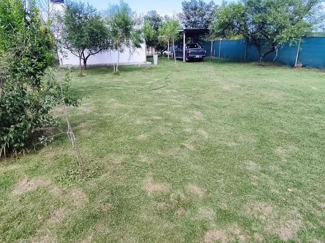 place photo 39
