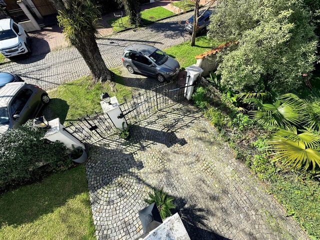 place photo 46