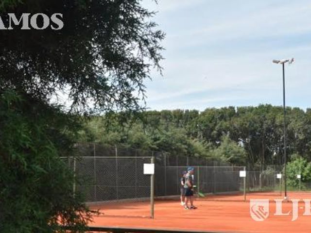 place photo 43