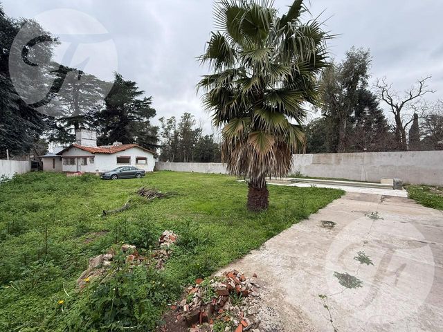 place photo 9