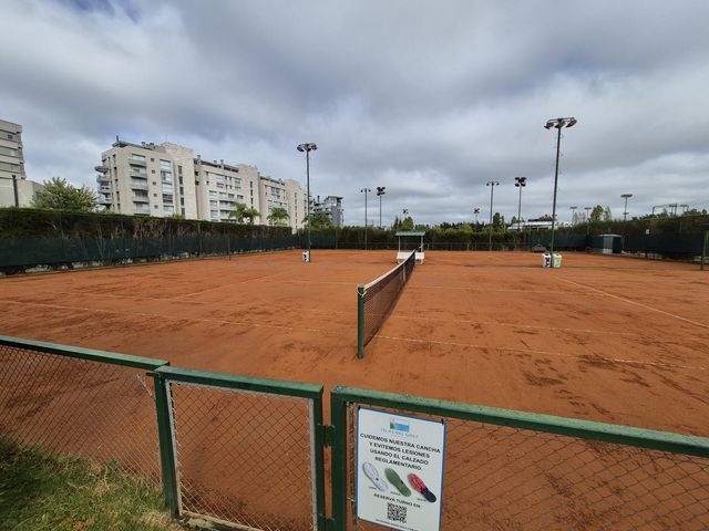 place photo 19