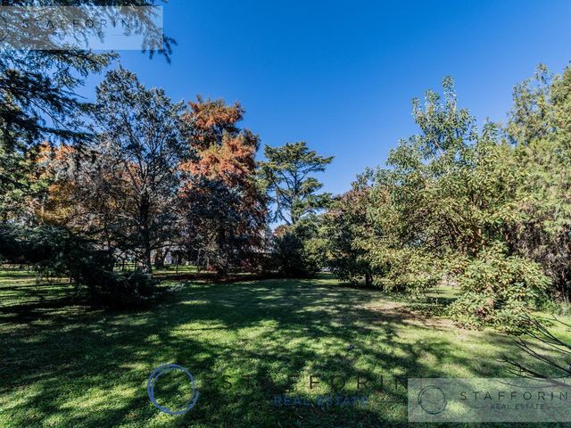 place photo 45