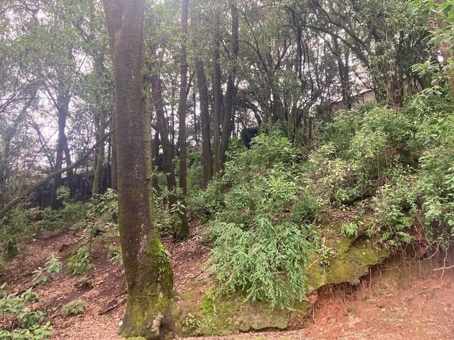 place photo 42
