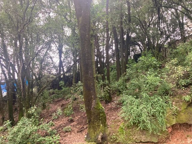 place photo 41