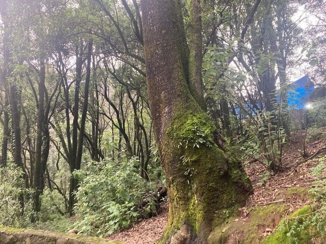 place photo 40