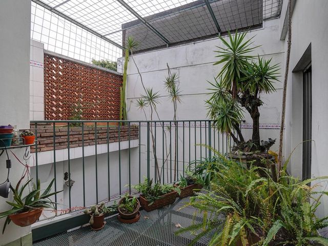 place photo 38