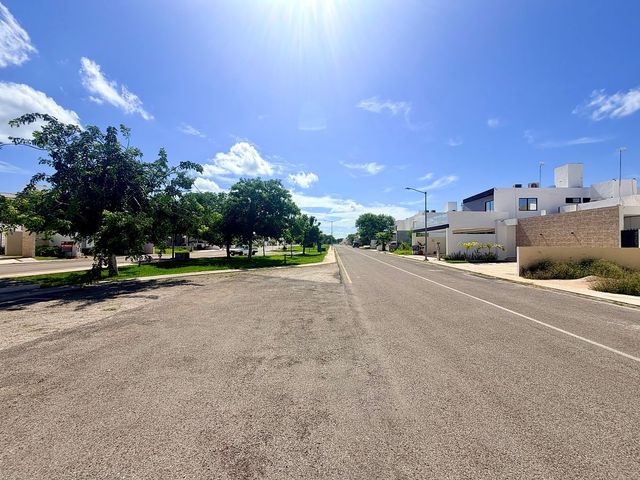 place photo 37