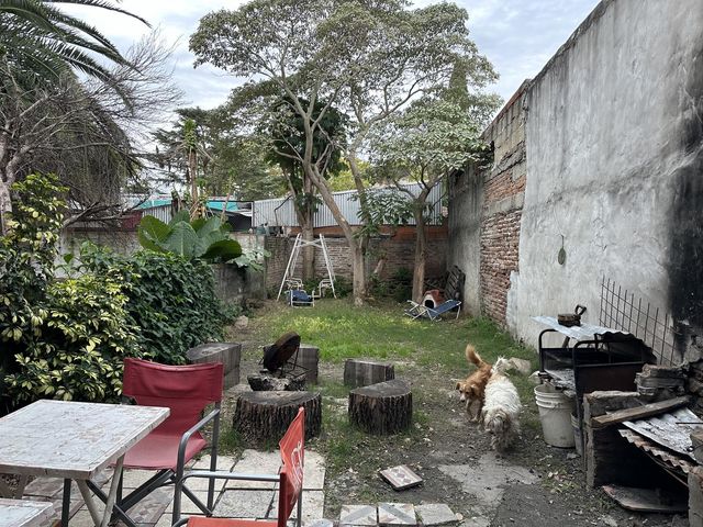 place photo 17