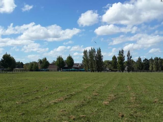place photo 67