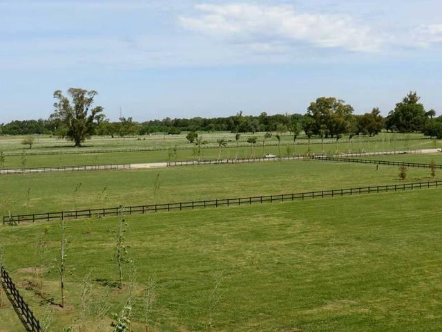 place photo 74