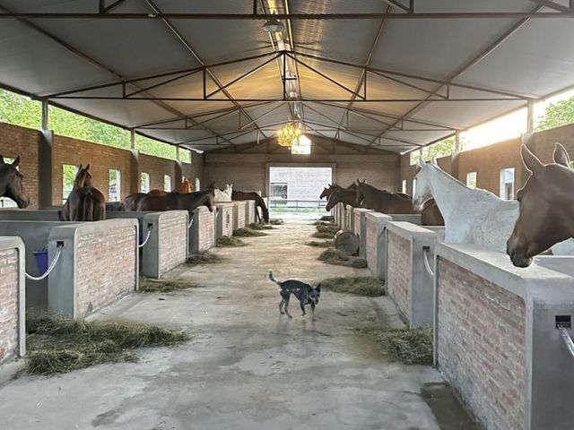 place photo 35