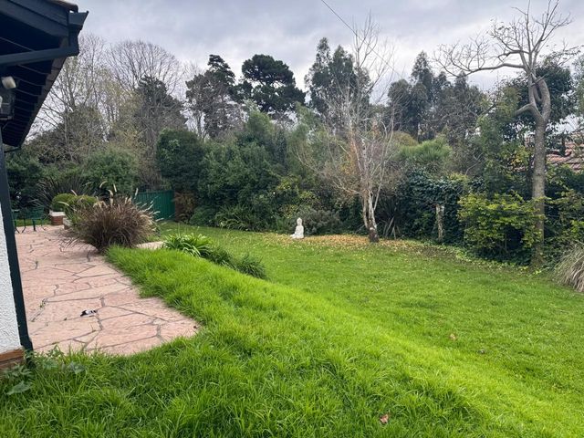 place photo 55
