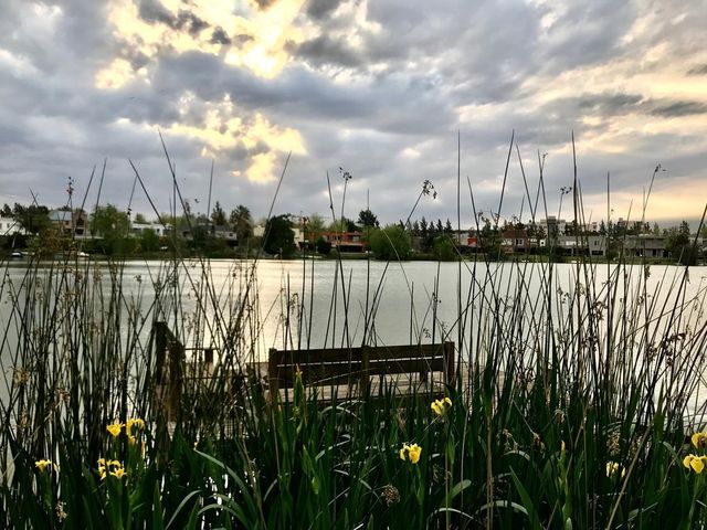 place photo 26
