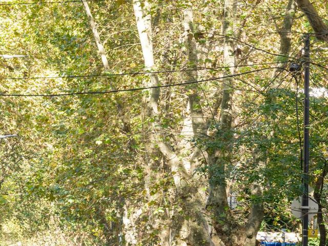 place photo 48