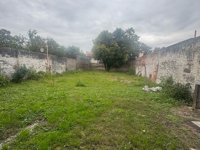 place photo 14