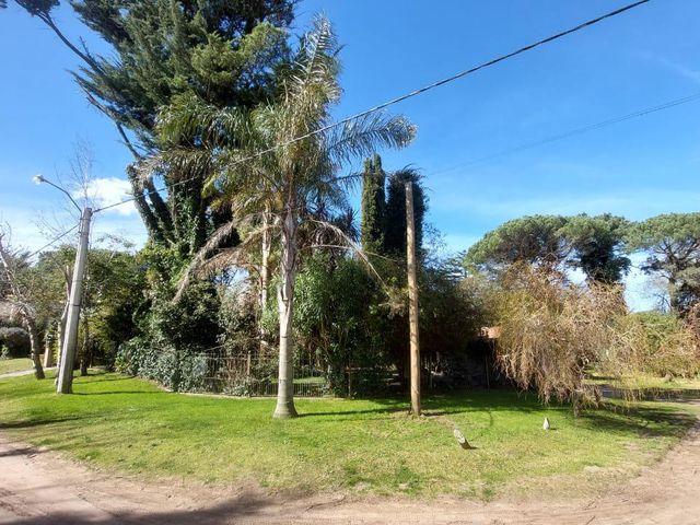 place photo 56