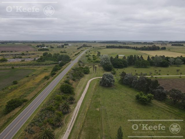 place photo 13