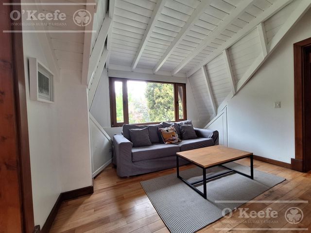 place photo 58