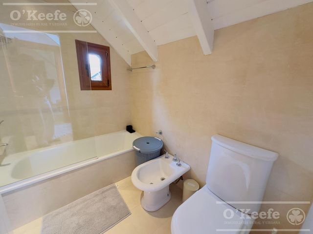 place photo 71