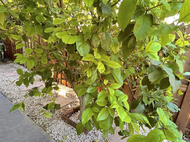 place photo 23