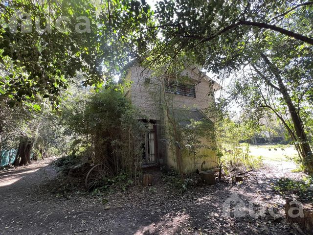 place photo 46